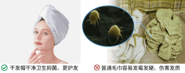 干好?10分钟轻松养成女明星「绸缎发」冰球突破游戏网站洗完头自然风干还是吹(图6) 干好?10分钟轻松养成女明星「绸缎发」冰球突破游戏网站洗完头自然风干还是吹(图6)