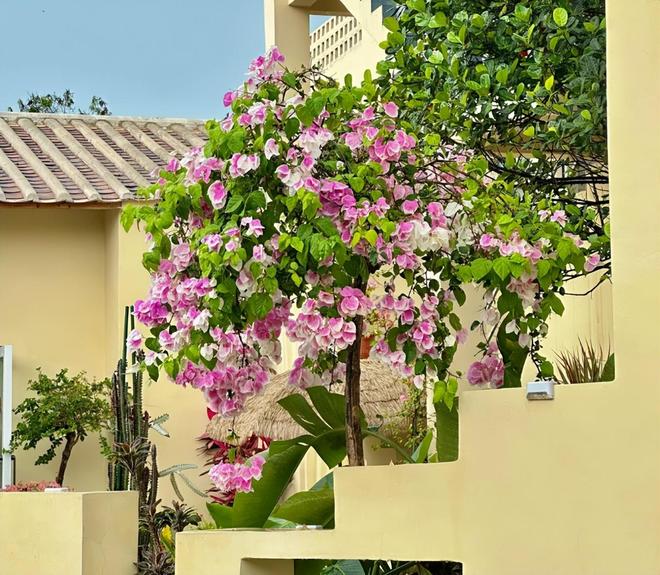 海亲子游5天4晚价格跟团五日游报价冰球突破北海亲子跟团游多少钱？北(图2)